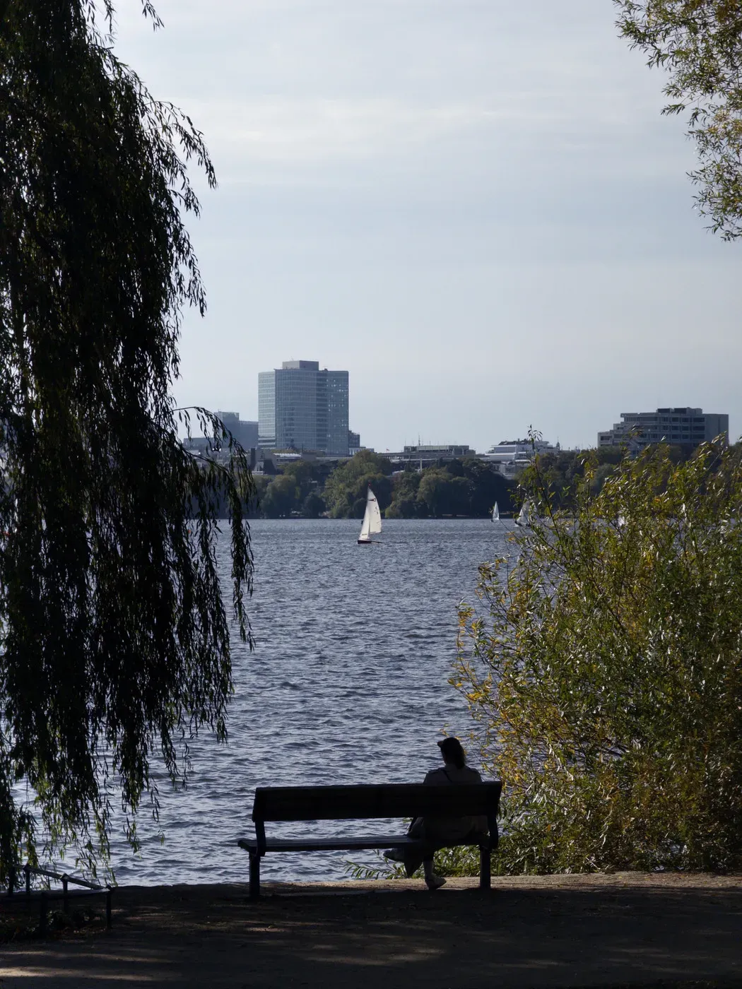 A person sits on a bench by the water, gazing out at a lake with a sailboat in the distance. Tall buildings and trees border the serene scene under a cloudy sky.