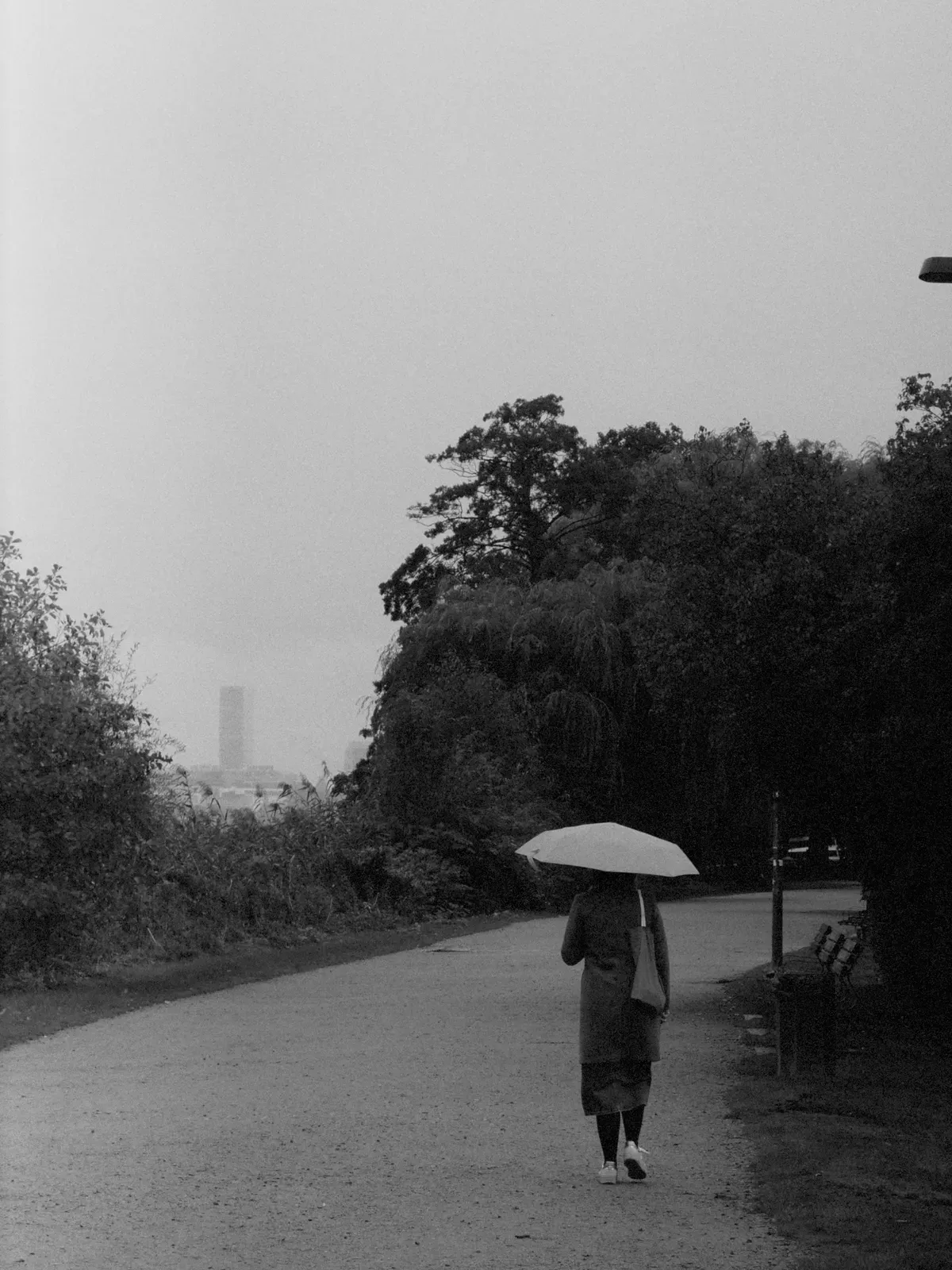 A person walks along a pathway in a park, holding a large umbrella, surrounded by greenery. The scene is overcast and dreary, with a faint urban skyline visible in the background.