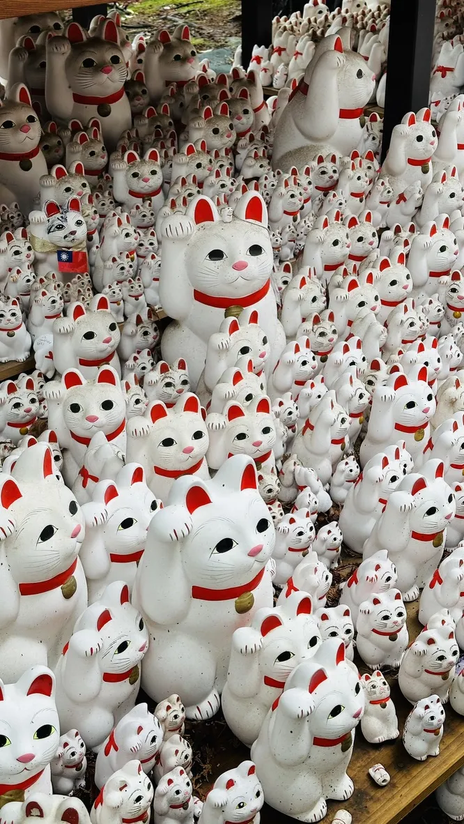 A large collection of white ceramic Maneki-neko (beckoning cat) figurines, featuring various sizes and expressions, are arranged closely together. The cats have red accents around their eyes and paws, with some holding a small bell.