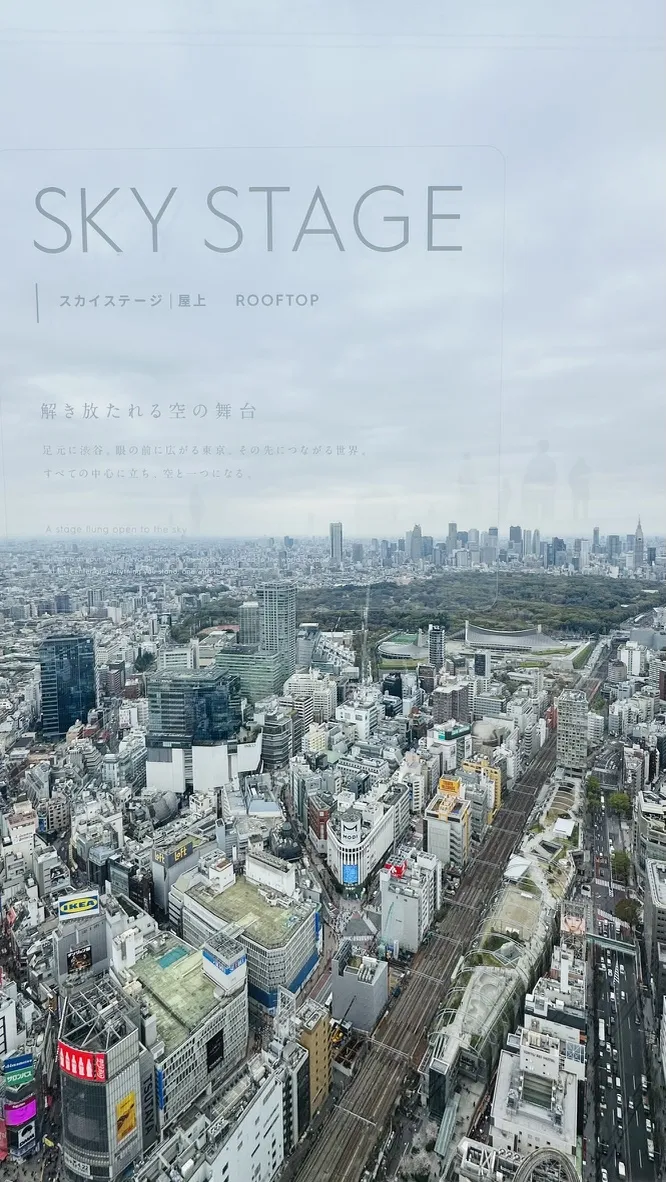 A view from a high vantage point showcases a sprawling cityscape under a cloudy sky, with tall buildings, roads, and green spaces visible. The foreground features signage indicating 'Sky Stage' with Japanese text for 'Rooftop.'
