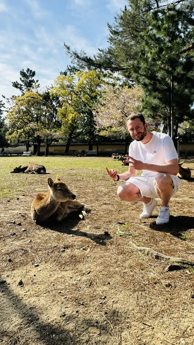 A man in a white outfit crouches beside a resting deer in a grassy area, surrounded by trees and other deer in the background. The scene is bright and sunny, with spring foliage visible.
