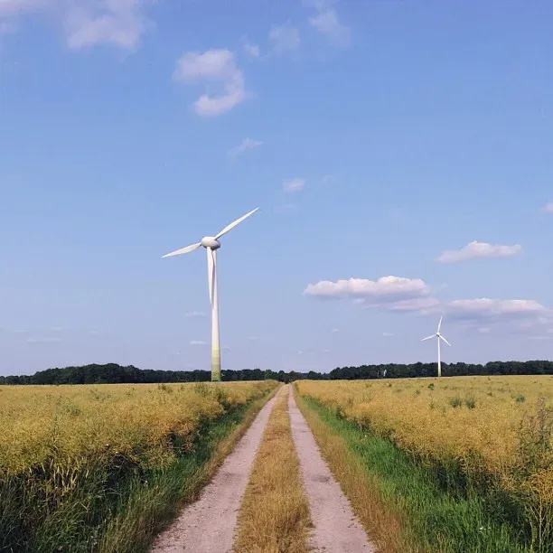 A gravel path leads through a green field under a blue sky with fluffy white clouds, featuring two tall wind turbines standing prominently in the distance.