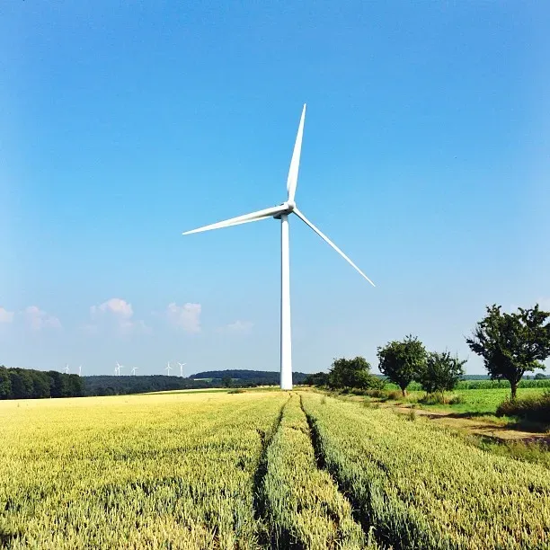 A large white wind turbine stands tall in a green field under a clear blue sky. The landscape features lush, yellow-green crops and scattered trees in the background.