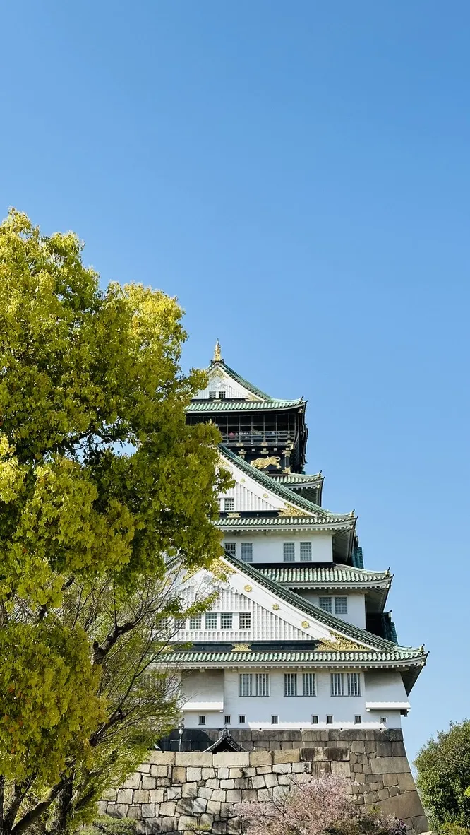 A tall, multi-tiered white and green Japanese castle stands against a clear blue sky, partially obscured by a vibrant green tree in the foreground. The castle features distinctive architectural elements, including a golden ornament at the top and stone walls at the base.