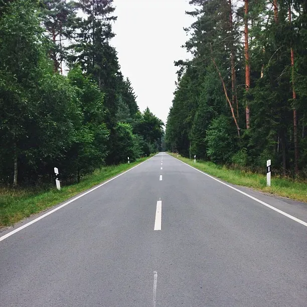 A straight asphalt road stretches through a dense forest, flanked by tall green trees on both sides. The overcast sky above creates a tranquil atmosphere, with road markers visible along the edges.