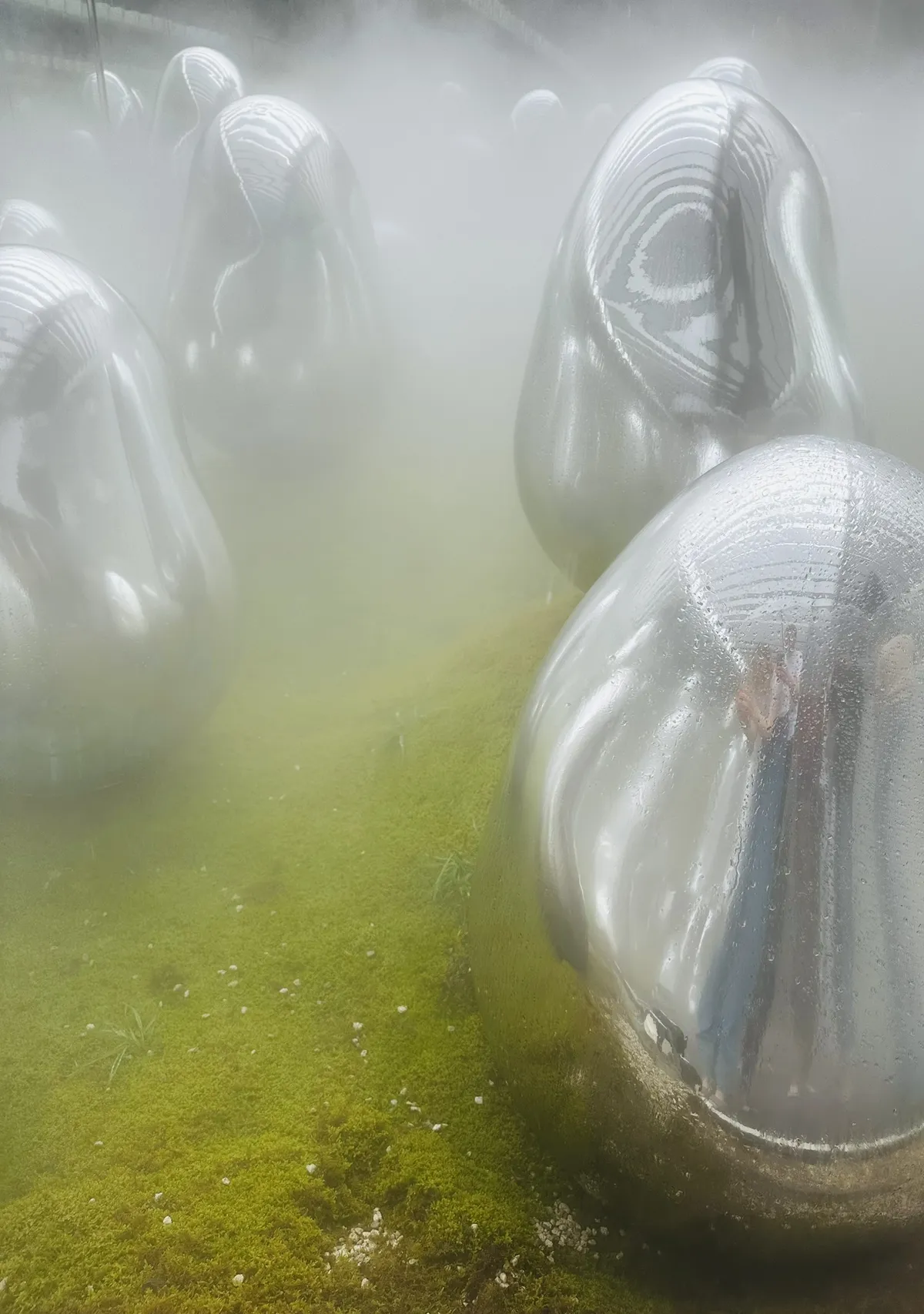 Reflective, silver sculptures resembling organic shapes are partially obscured by a layer of mist and surrounded by green moss. The fog adds an ethereal quality to the scene, creating a serene and surreal atmosphere.