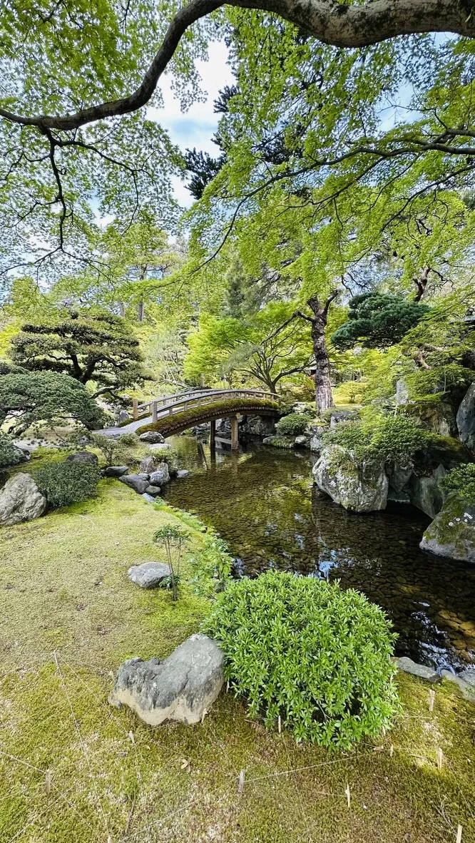 A serene garden scene featuring a small wooden bridge arching over a calm pond surrounded by lush greenery, rocks, and well-maintained shrubs. The vibrant tree foliage creates a peaceful atmosphere, illuminated by soft sunlight.