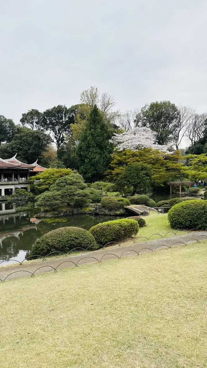 A serene garden landscape featuring a pond surrounded by lush greenery, including manicured shrubs and trees. In the background, a traditional pavilion sits alongside flowering cherry trees, with a cloudy sky above.