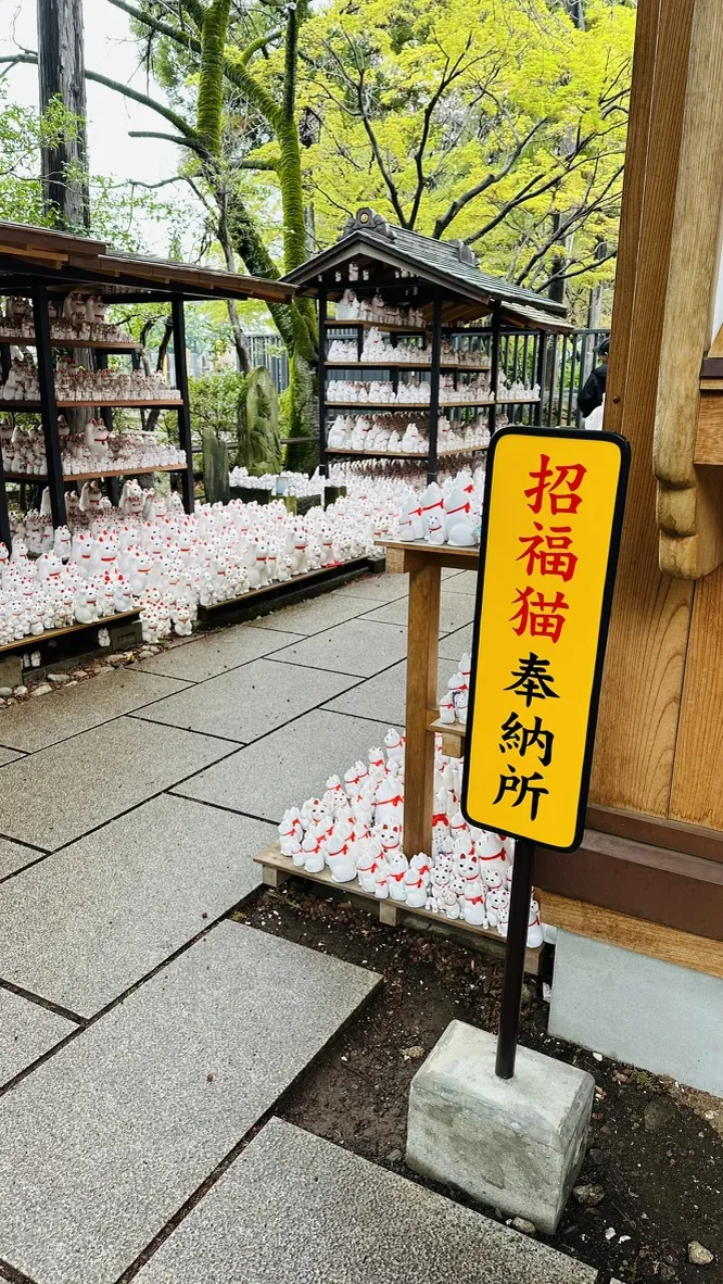 A pathway leads to a small shrine area, lined with numerous white cat figurines, some adorned with red markings. A yellow sign in the foreground indicates a designated spot for offering these figurines, with a background of green trees and wooden structures.