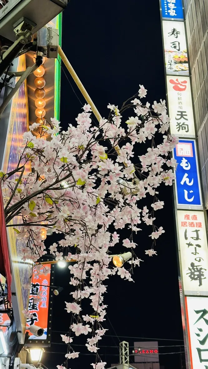 Cherry blossoms are illuminated against a backdrop of colorful neon signs in a bustling urban setting at night. The vibrant flowers contrast with the bright advertising displays, creating a lively atmosphere.