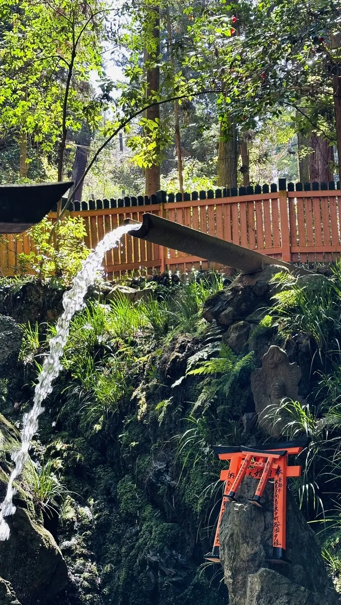 A wooden trough directs a clear stream of water flowing down into a rocky area surrounded by lush greenery. In the foreground, there is a small red torii gate nestled among the rocks, partially obscured by plants.