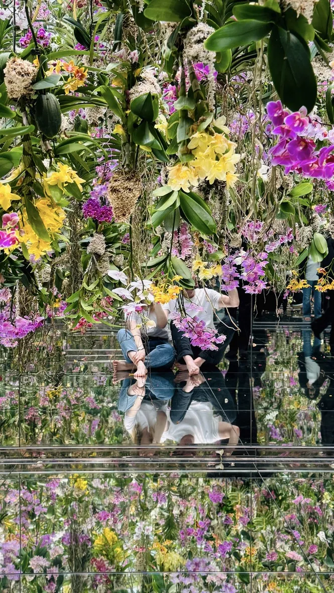 A vibrant display of various colorful orchids hangs overhead, surrounded by lush greenery. Reflections of visitors can be seen in the mirrored floor, enhancing the immersive floral experience.