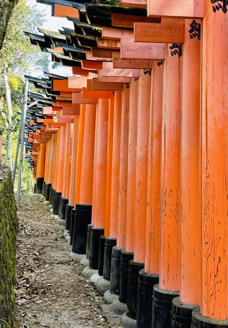 A narrow pathway lined with vibrant orange torii gates, set against a backdrop of greenery and stone. The gates are supported by black bases, creating a striking contrast with the natural surroundings.