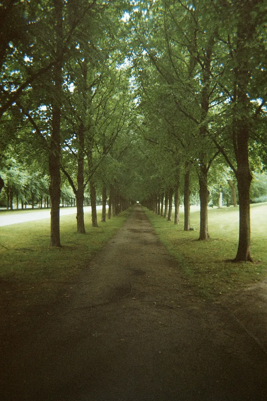 A narrow pathway lined with tall, leafy trees extends into the distance, creating a symmetrical view. The ground is a mix of dirt and grass, and natural light filters through the foliage.