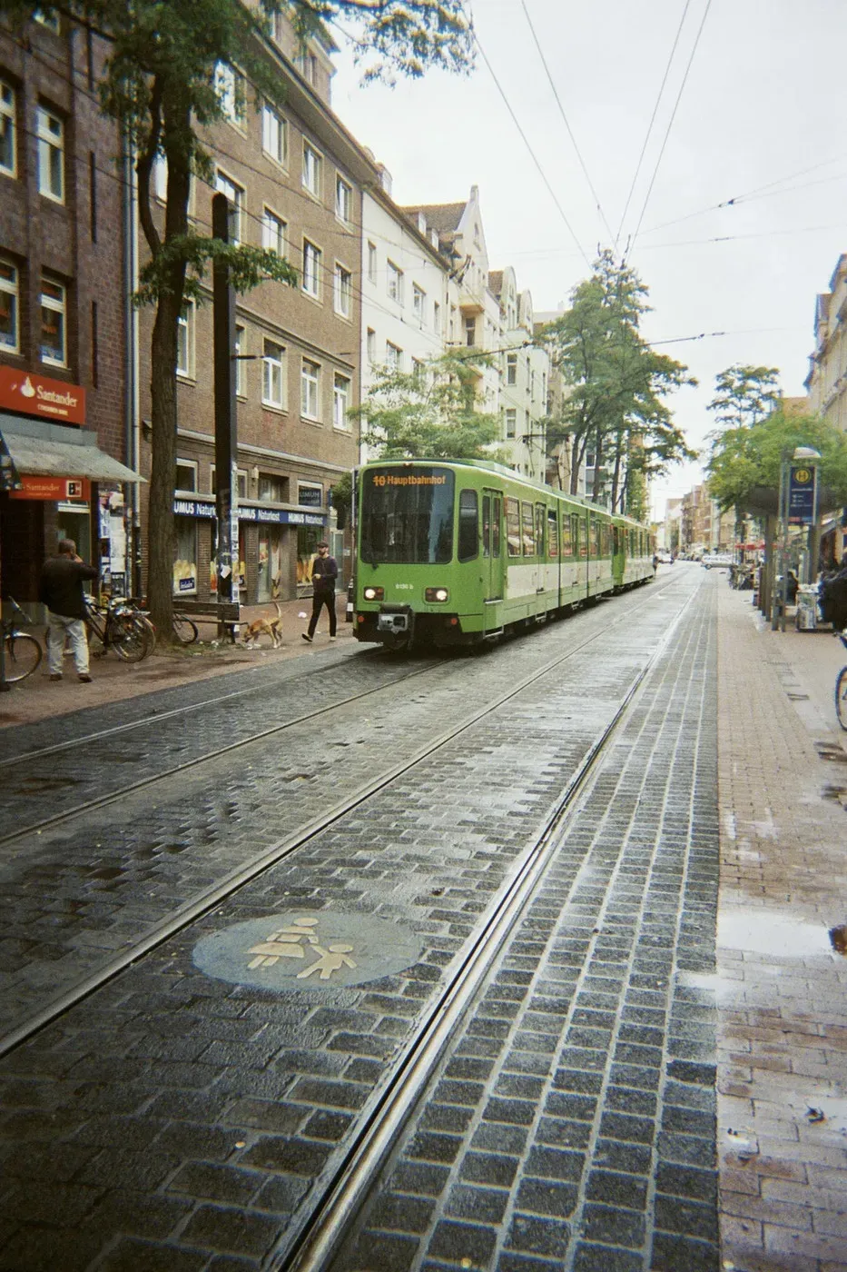 A green tram travels along a cobblestone street lined with brick buildings. People walk along the sidewalks, with bicycles parked nearby and trees lining the street.