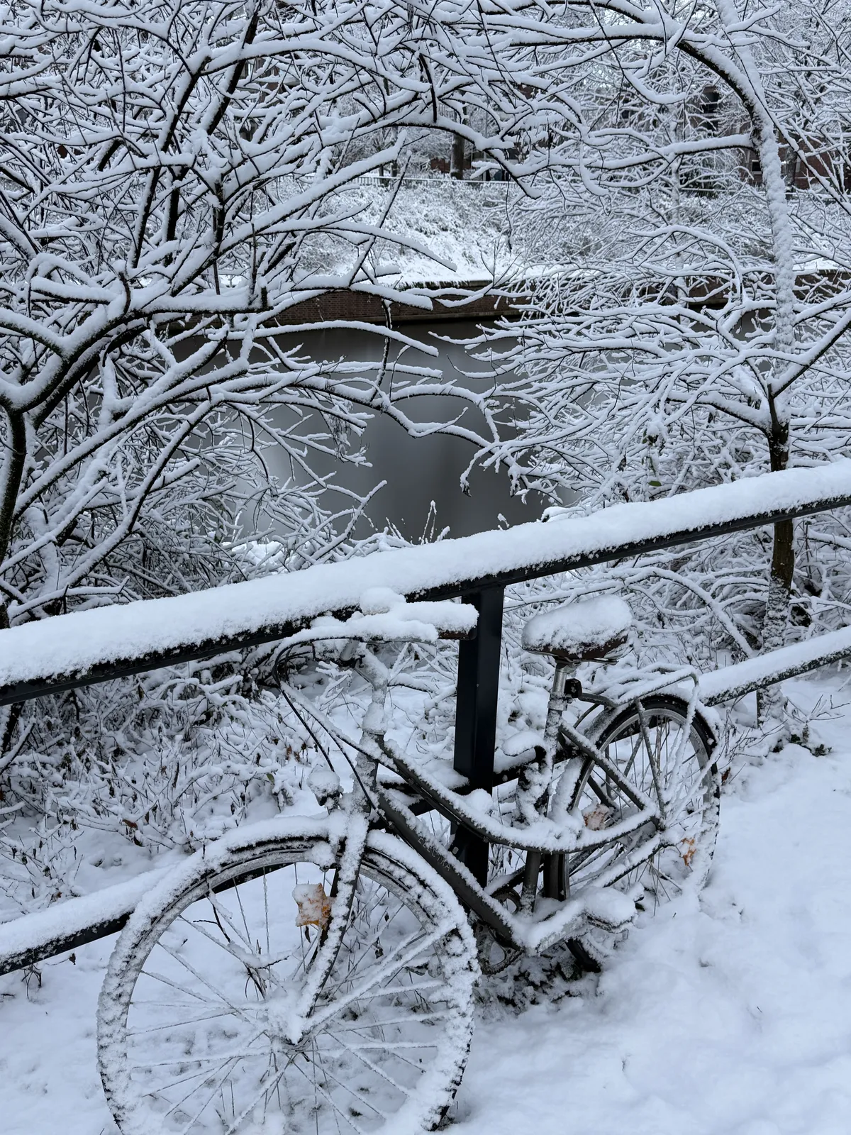 A bicycle covered in snow rests against a railing, surrounded by snow-laden trees and overlooking a frozen body of water in a winter landscape. The scene conveys a serene and quiet atmosphere.