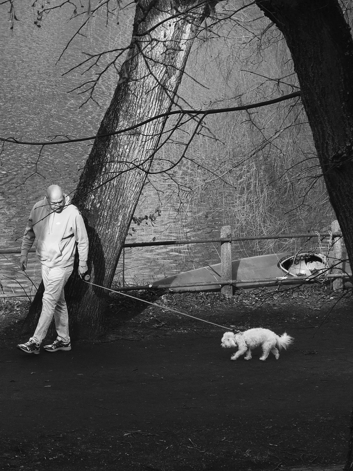A person in a light-colored tracksuit walks a small, fluffy white dog along a path beside a body of water. The scene is framed by bare trees and a rustic wooden fence, with canoes visible in the background.