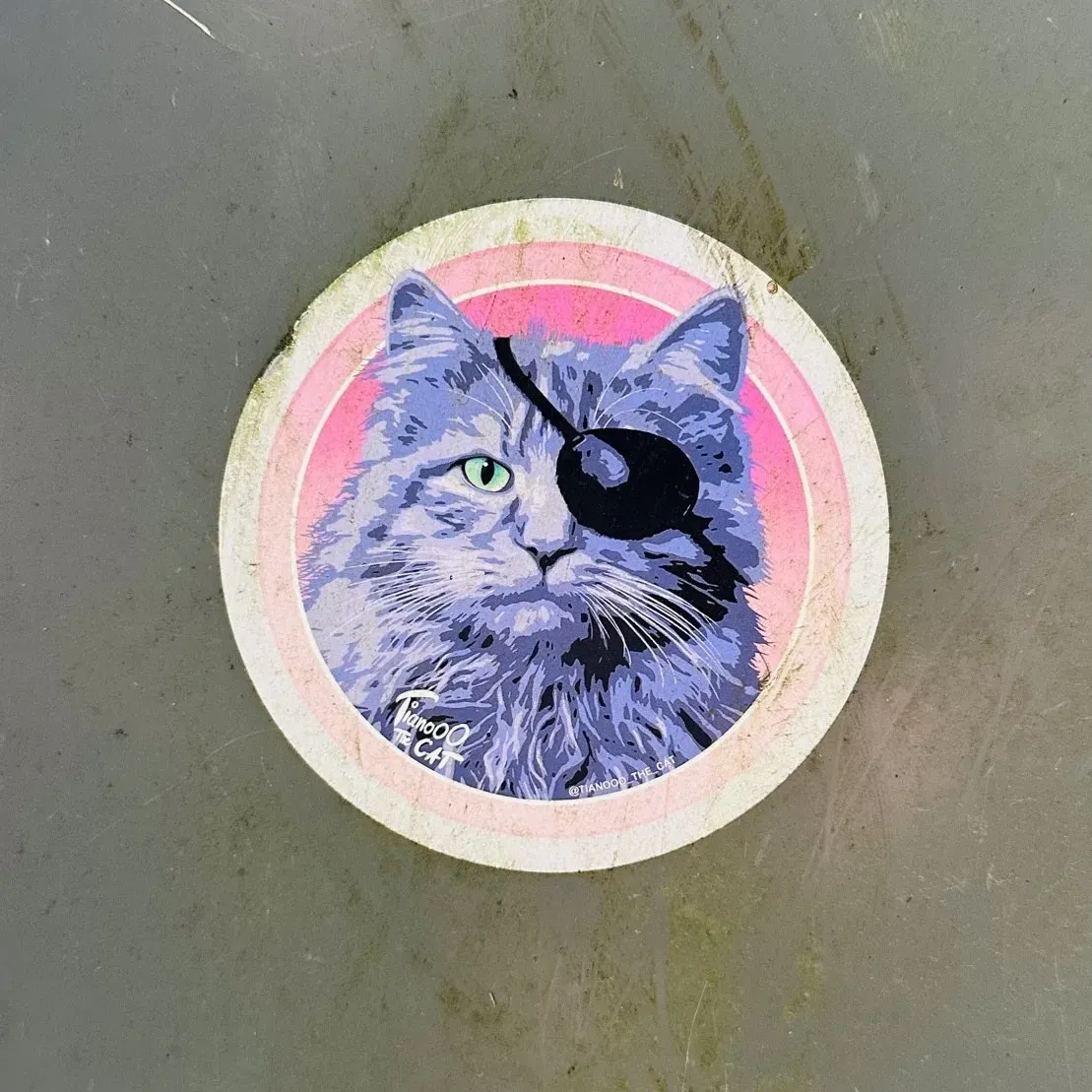 A round sticker featuring a detailed illustration of a fluffy gray cat with an eye patch, set against a pink gradient background. The cat has striking green eyes and a confident expression.