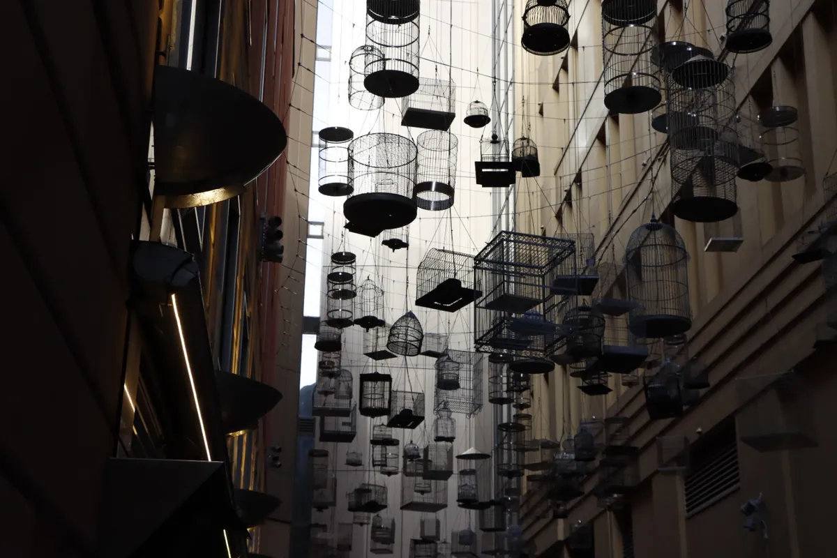 IMG-20261018-WA0019