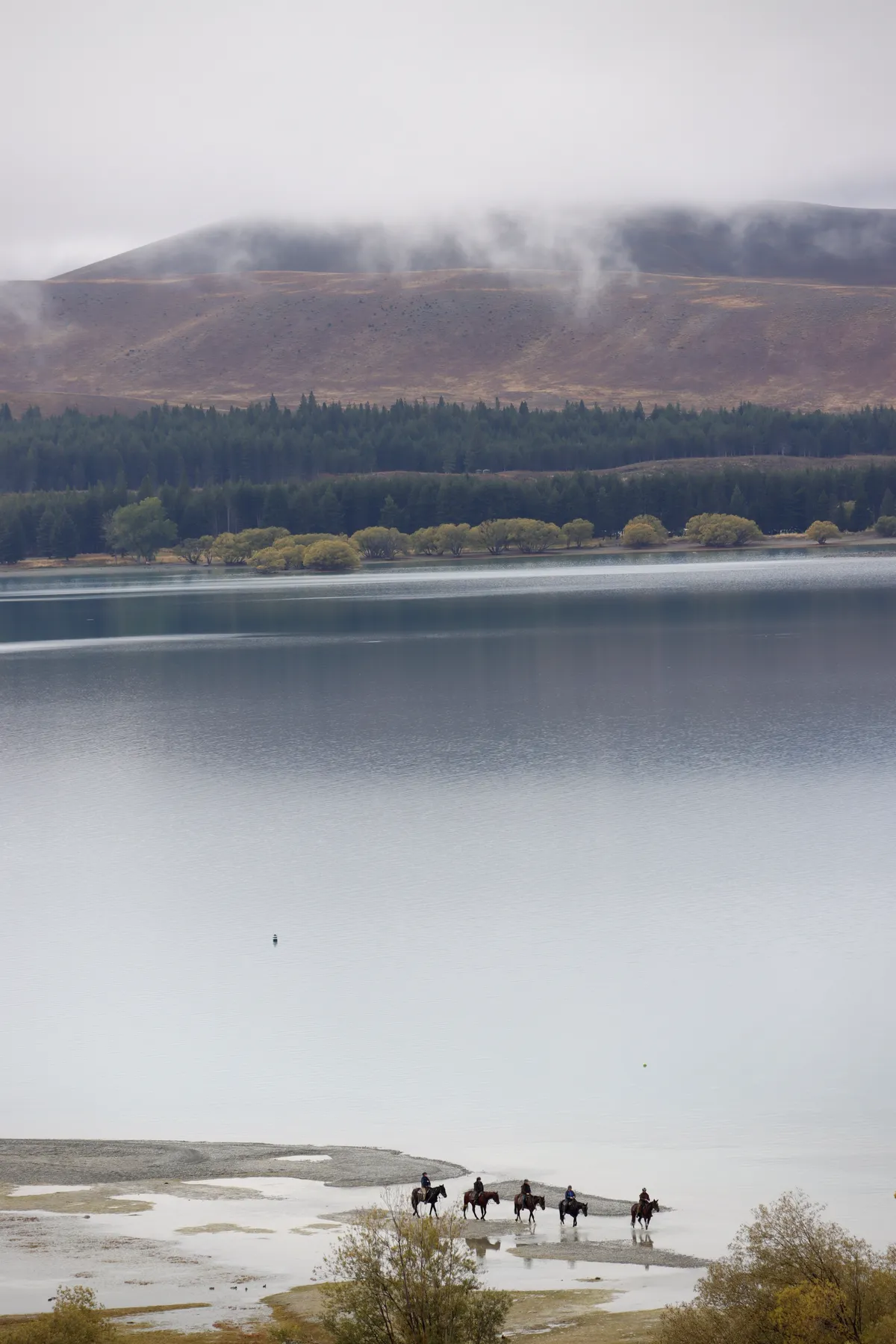 lake-tekapo-horses-vertical