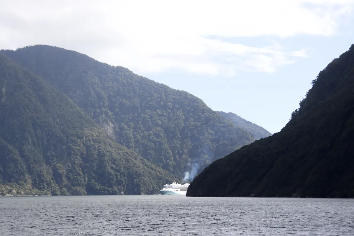 milford-sound-cruise-ship