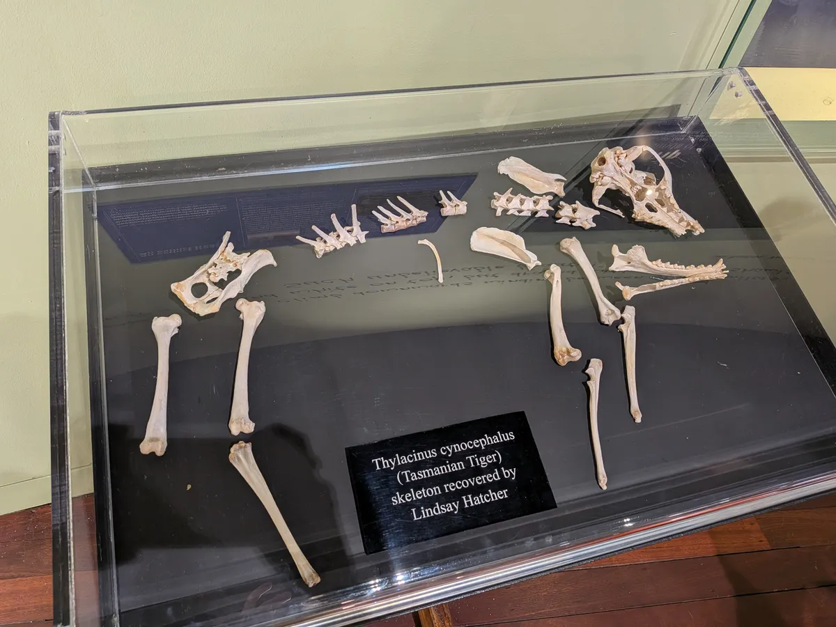 PXL_20260424_073055169