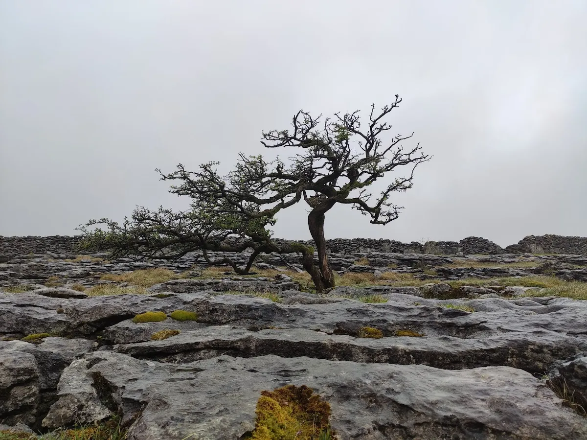 Pasted image 20250526205354