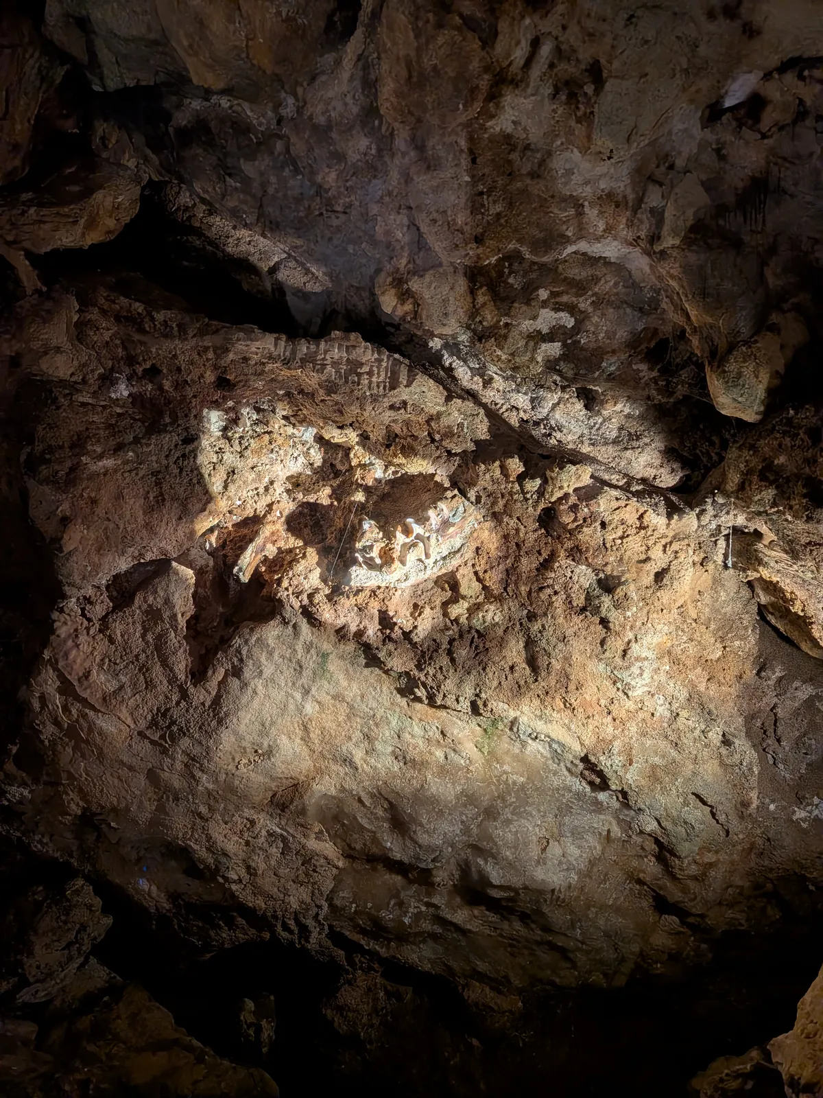 PXL_20260424_030940546