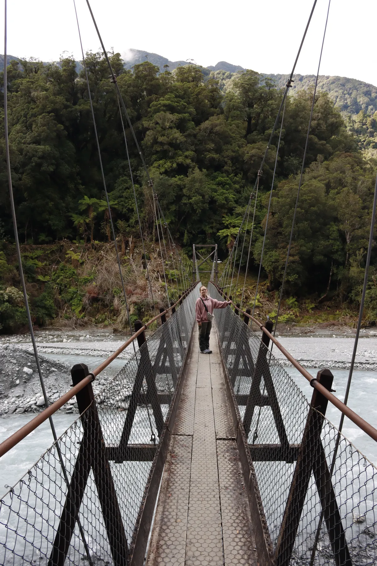 rope bridge franz josef