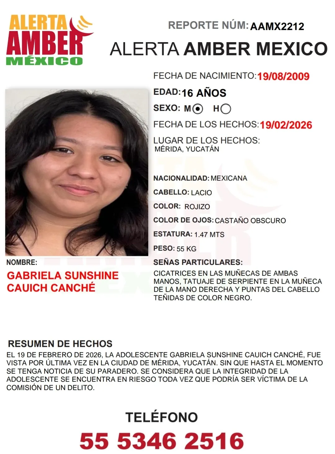 alerta_amber_gabriela_sunshine_cauich_canché_16