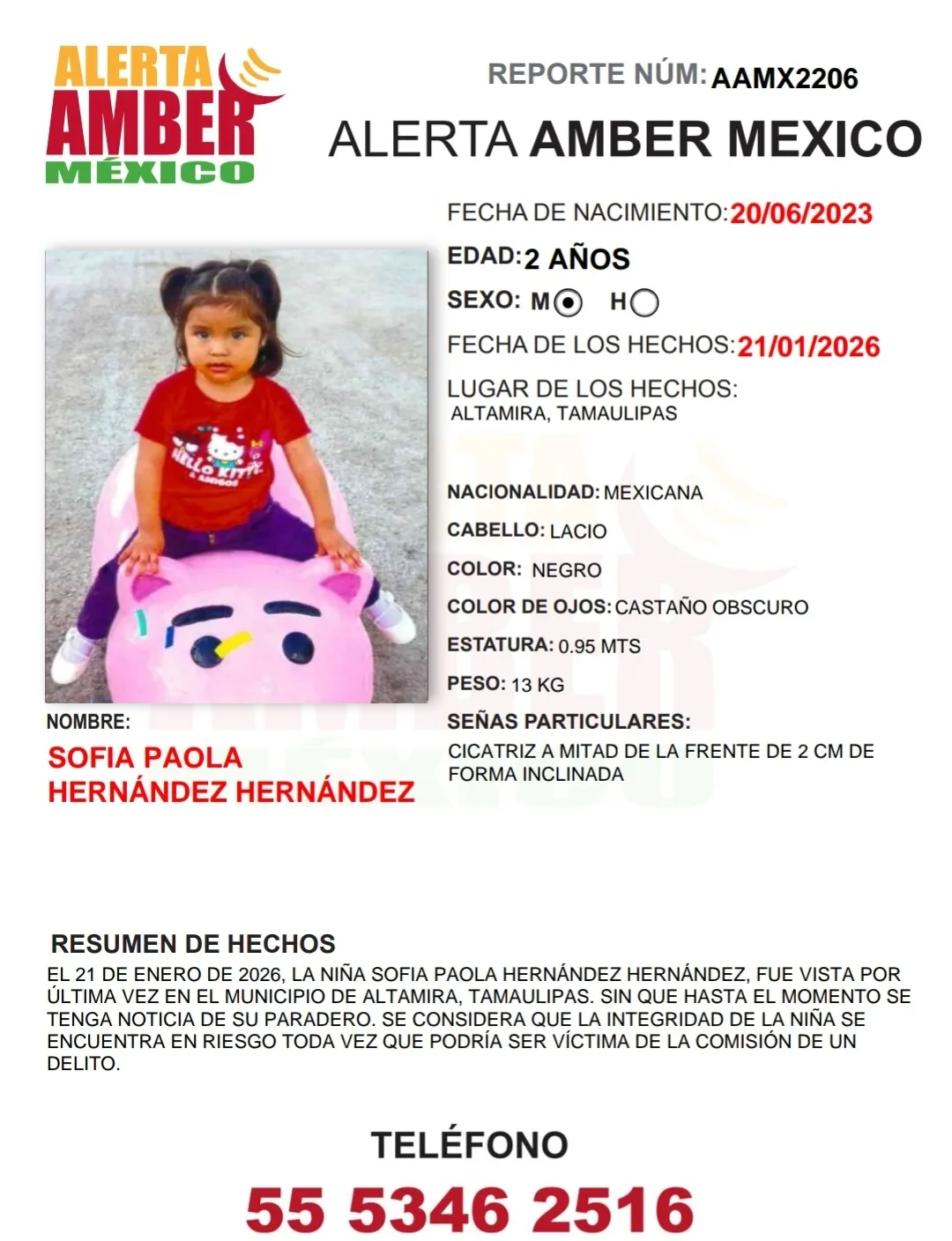 alerta_amber_sofía_paola_hernández_hernández_02