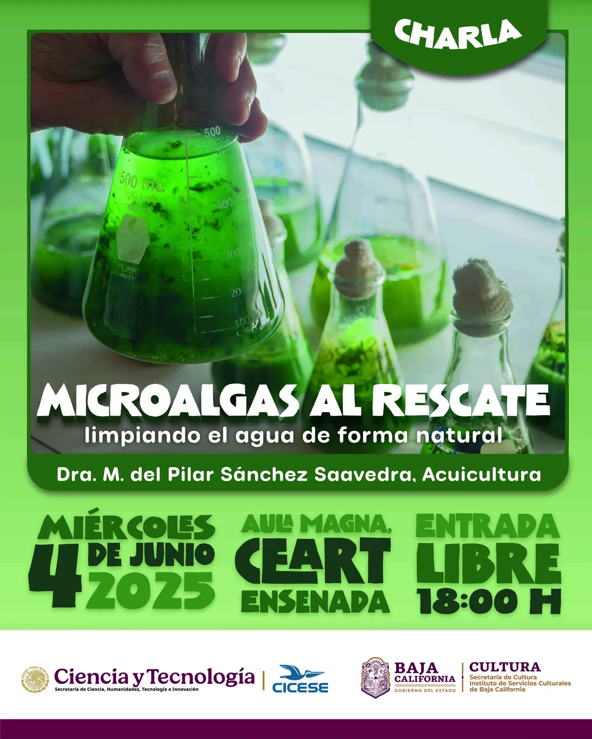 Boletin 28 CICESE_Charla microalgas