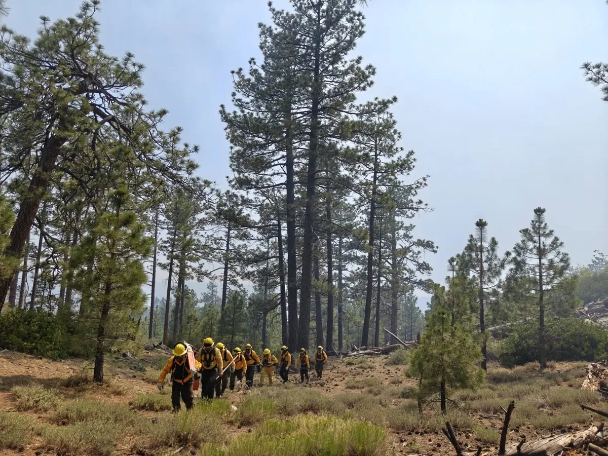 brigada_forestal_spm_incendio2026julio_3