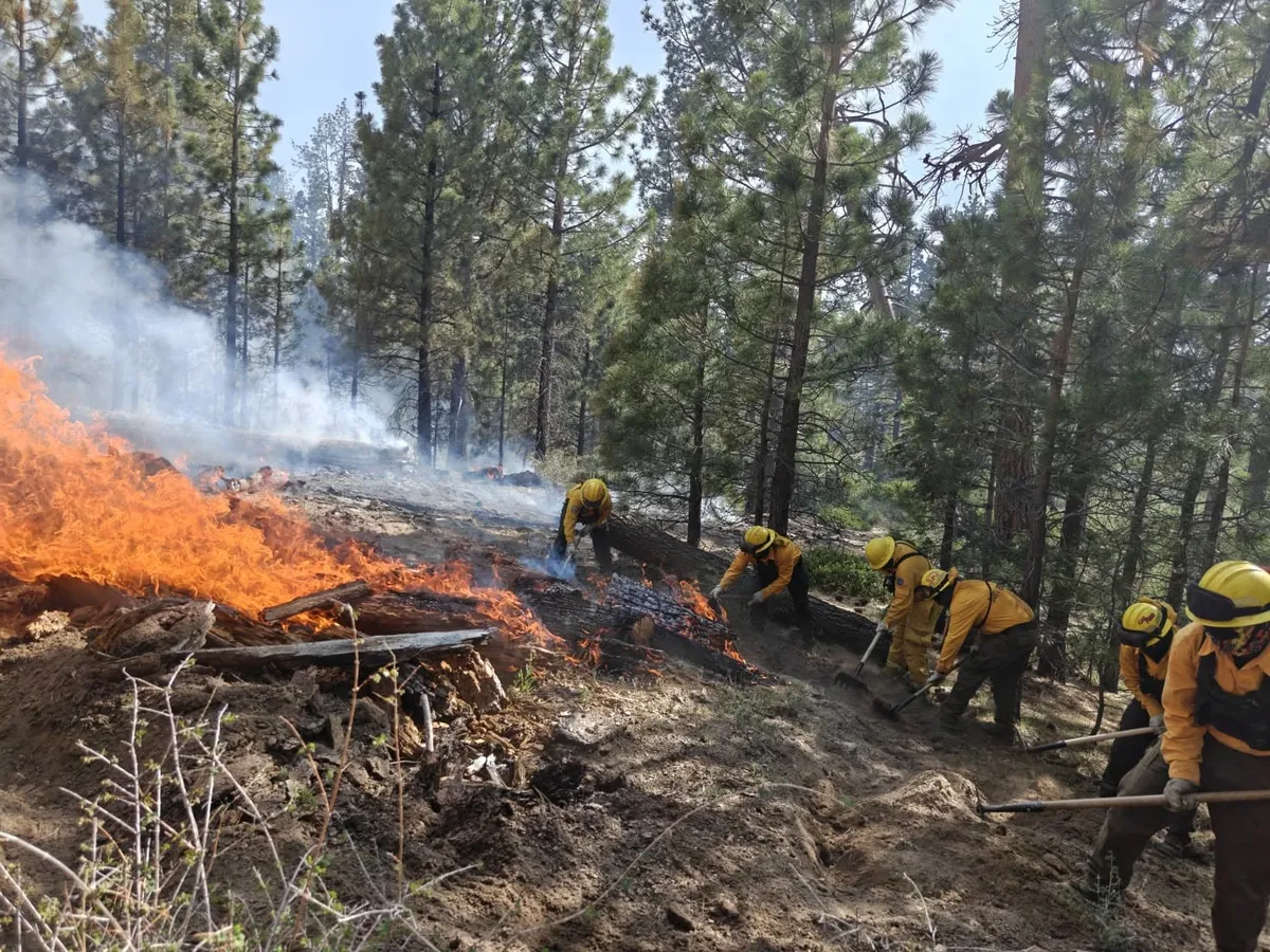 brigada_forestal_spm_incendio2026julio_4
