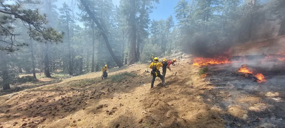 brigada_forestal_spm_incendio2026julio_6