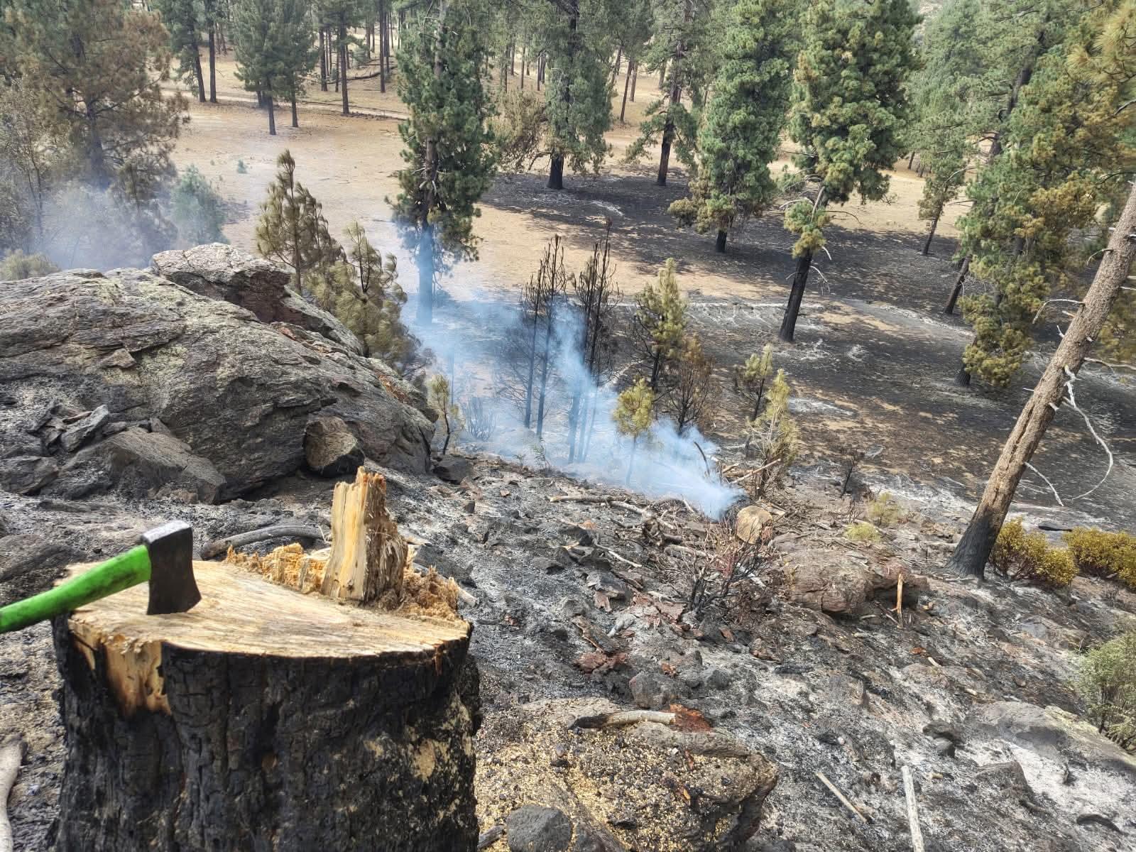 Brigada Forestal en combate a incendio en San Pedro Mártir