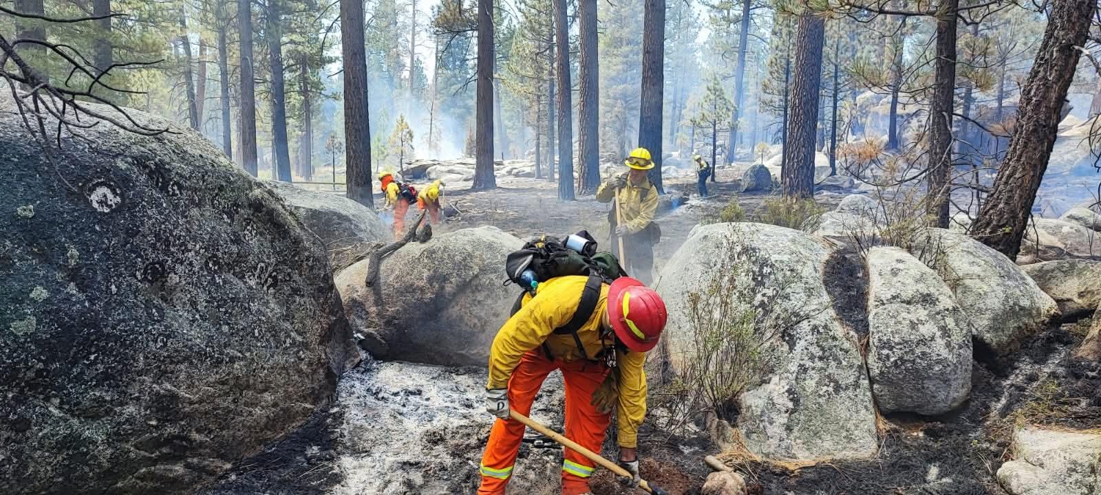 Brigada Forestal en combate a incendio