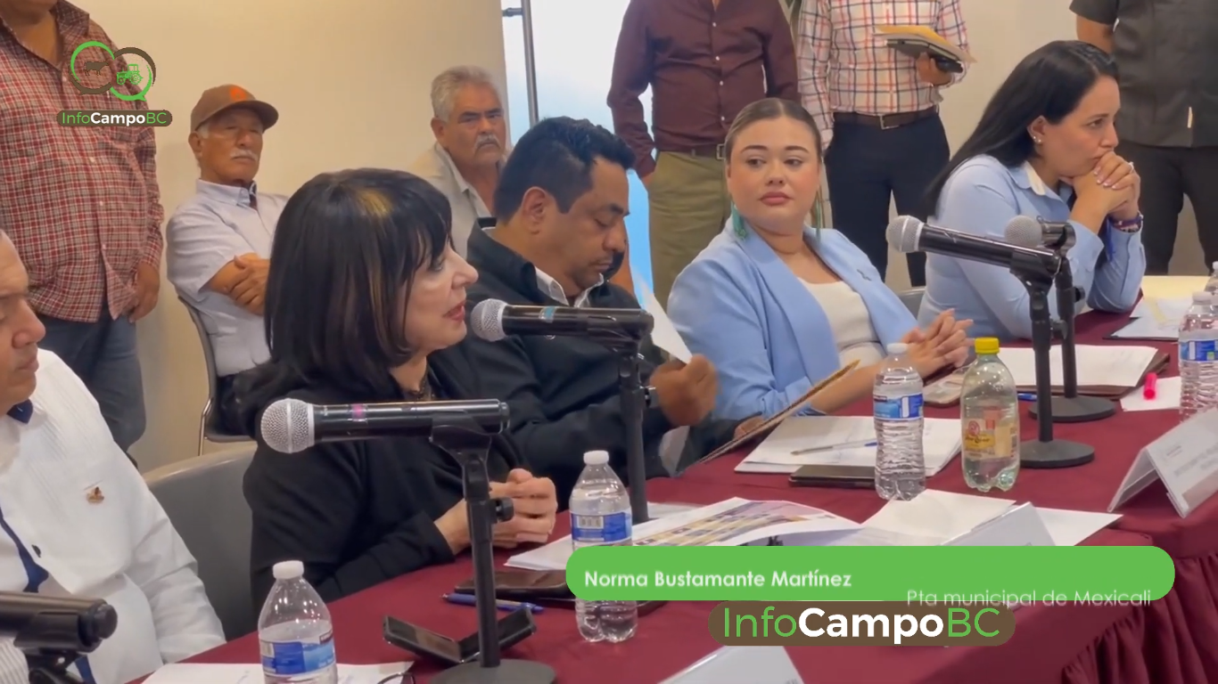 norma_bustamante_reunión_trigueros