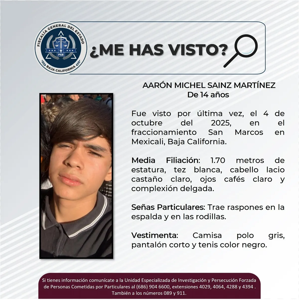 pesquisa_aarón_michel_sainz_martínez_14