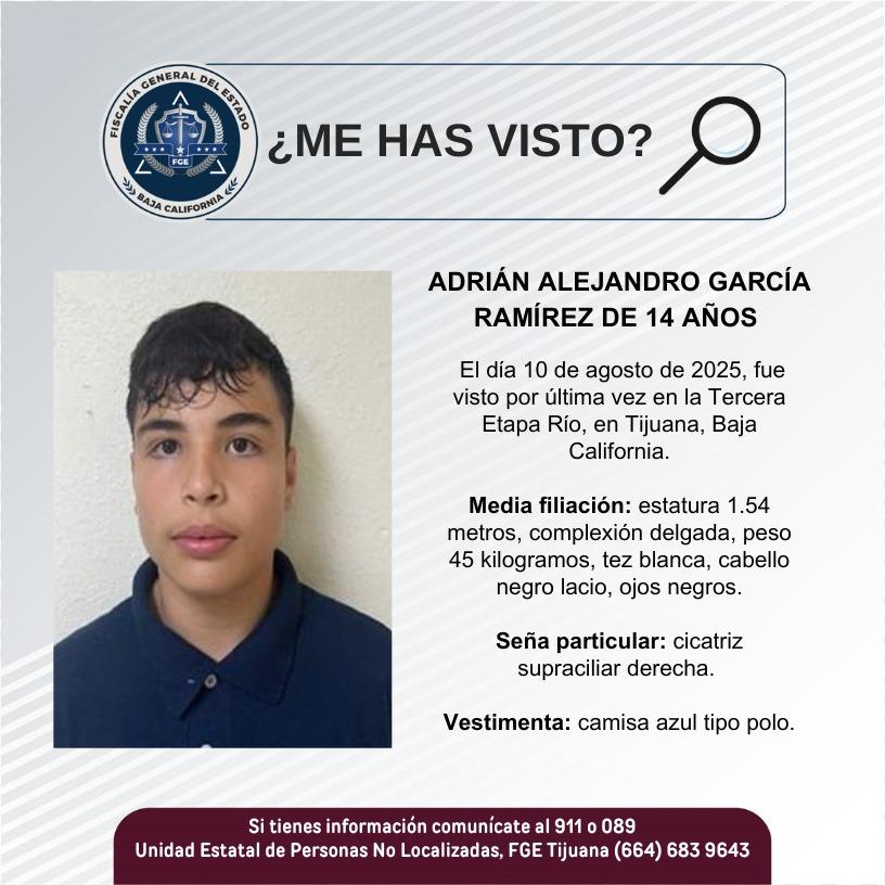 pesquisa_adrián_alejandro_garcía_ramírez_14