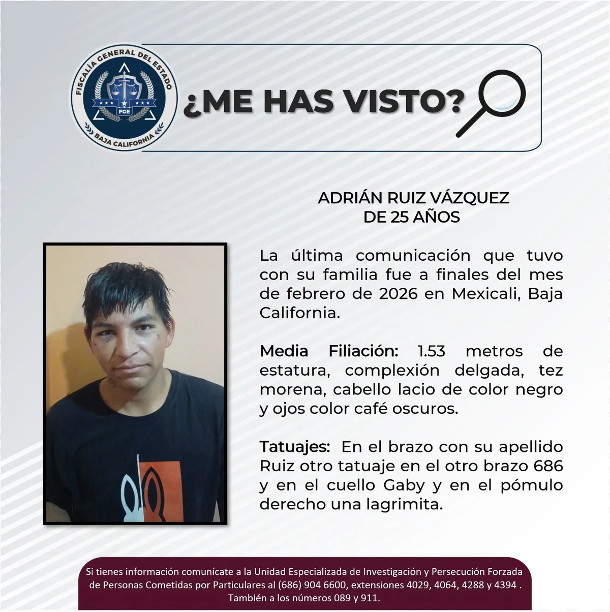 pesquisa_adrián_ruiz_vázquez_25