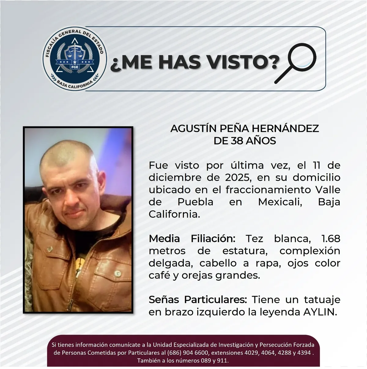 pesquisa_agustín_peña_hernández_38
