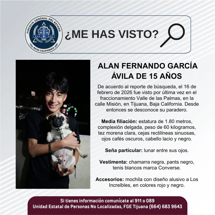 pesquisa_alan_fernando_garcía_ávila_15