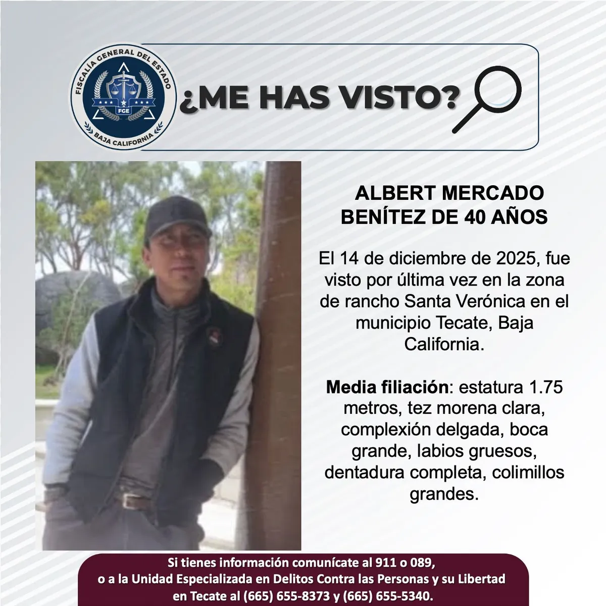 pesquisa_albert_mercado_benítez_40
