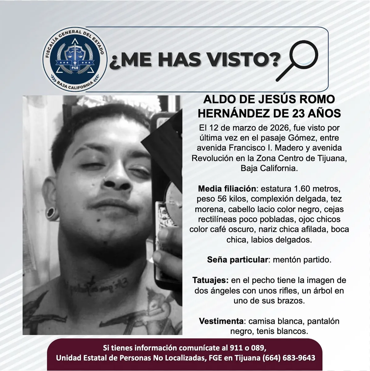pesquisa_aldo_de_jesús_romo_hernández_23
