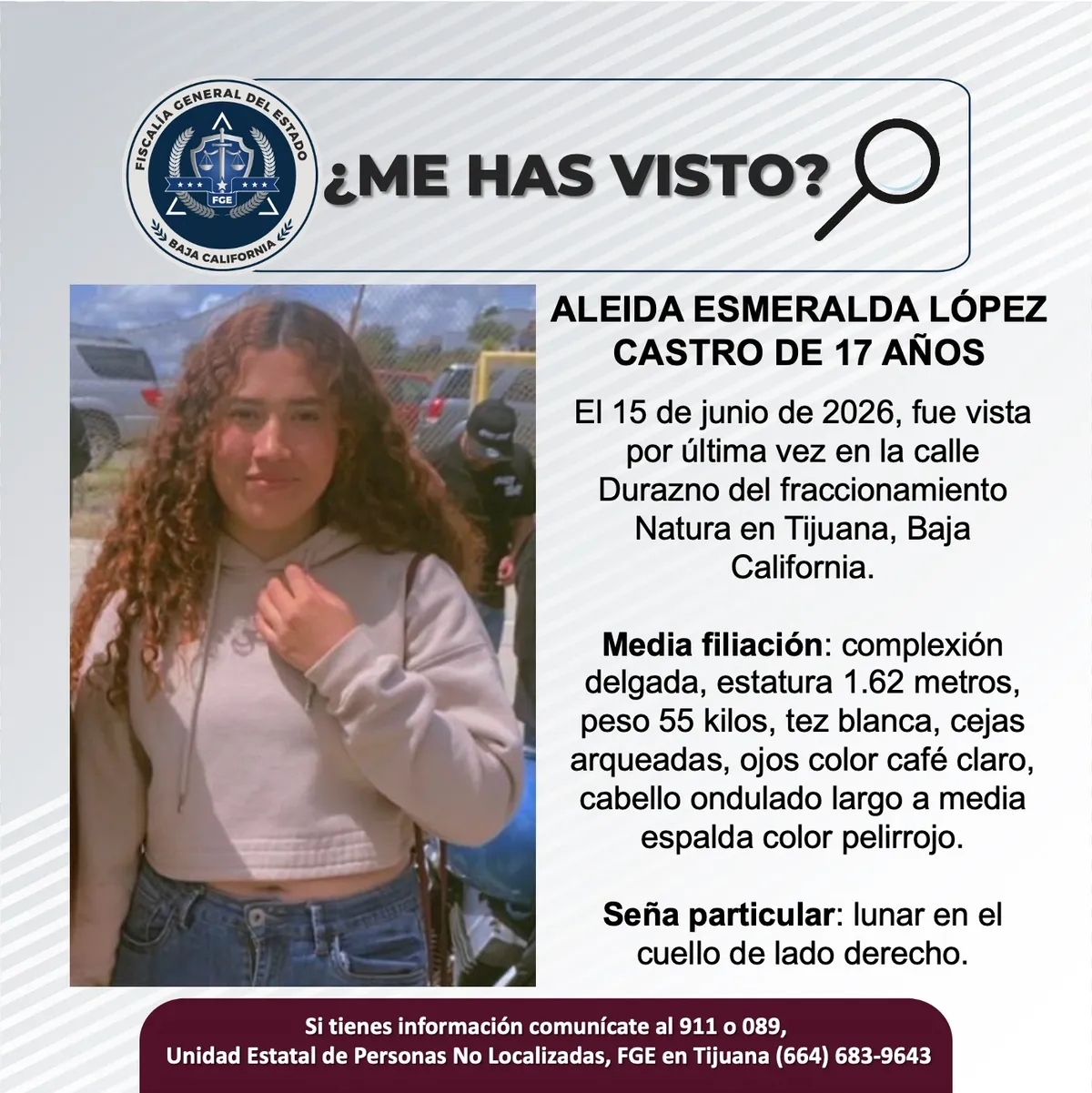 pesquisa_aleida_esmeralda_lópez_castro_17