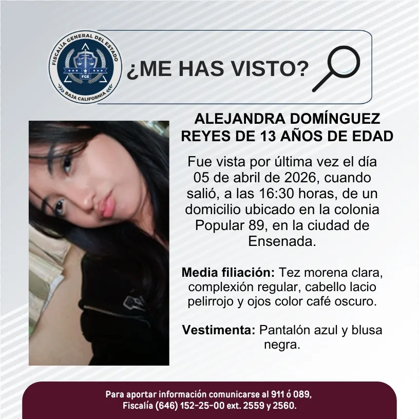 pesquisa_alejandra_domínguez_reyes_13