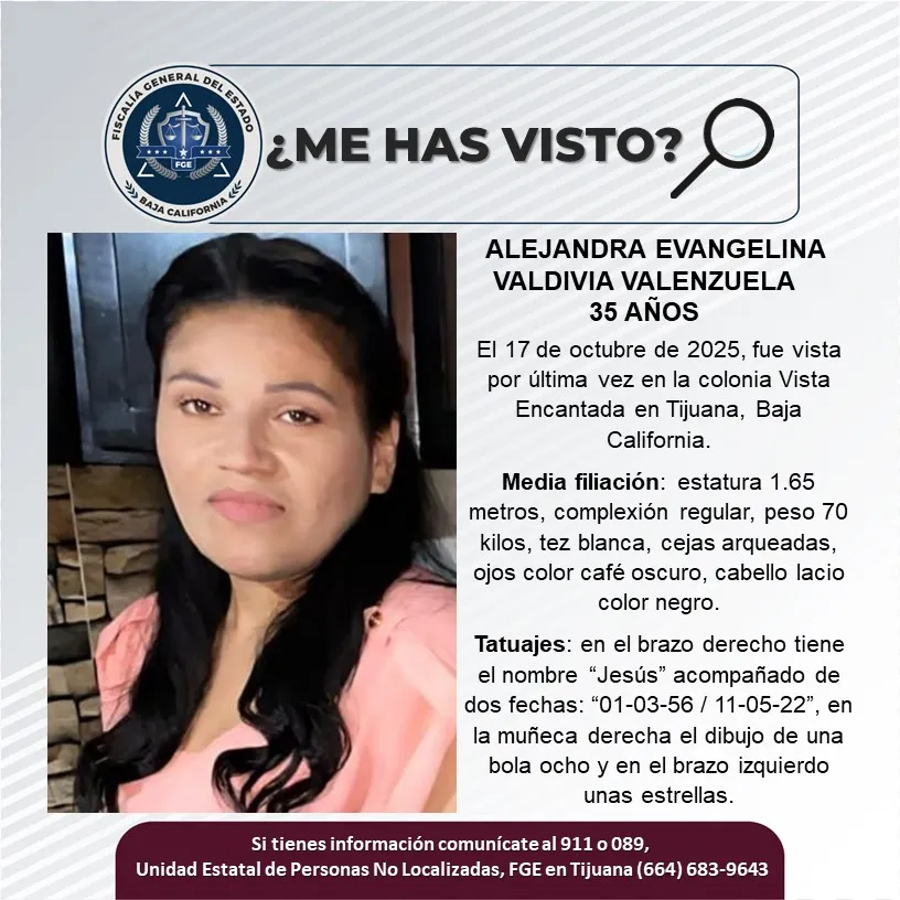 pesquisa_alejandra_evangelina_valdivia_valenzuela_52