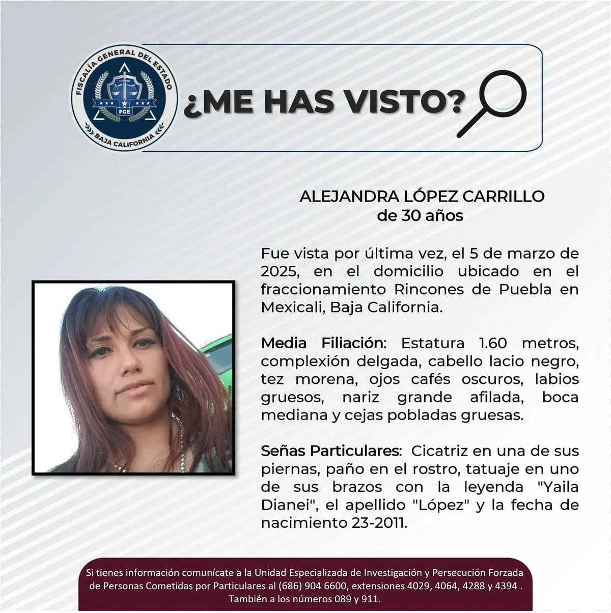 pesquisa_alejandra_lópez_carrillo_30