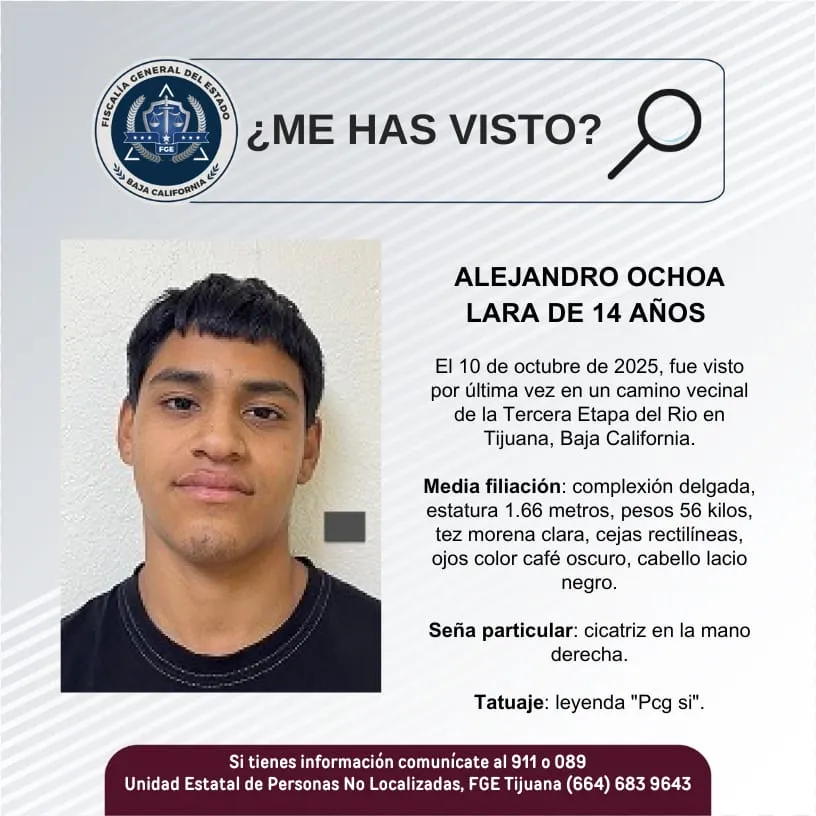 pesquisa_alejandro_ochoa_lara_14